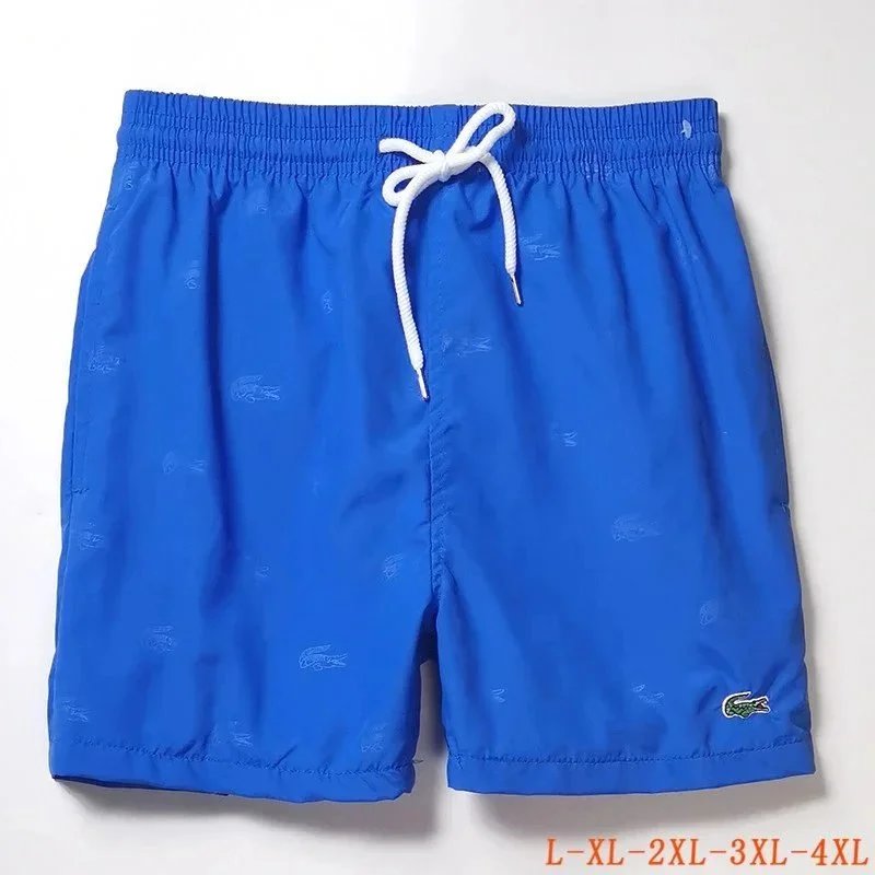 air Lacoste Shorts (40 styles) - Thumbnail 12