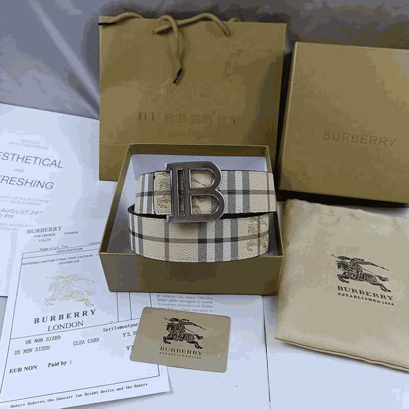 Burberry Belt ( 25 + styles)
