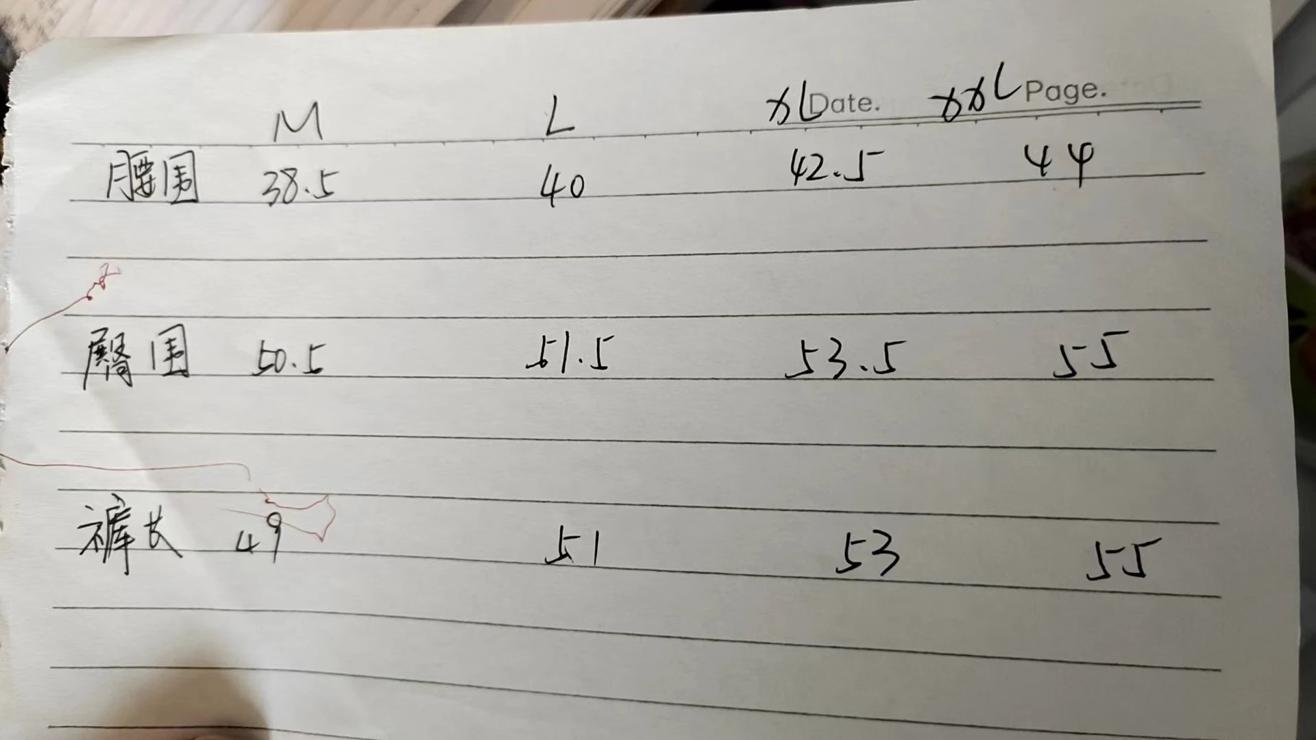 Ralph Lauren T-shirt/shorts - Thumbnail 6