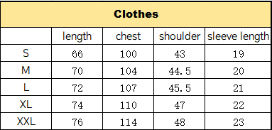 Ralph Lauren New York Polo Shirt [22+ styles] - Thumbnail 3