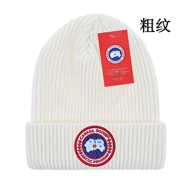 Canada Goose Arctic Program Beanie [40+ Styles] - Thumbnail 9