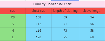 Burberry Hoodie [9 Styles] - Thumbnail 2